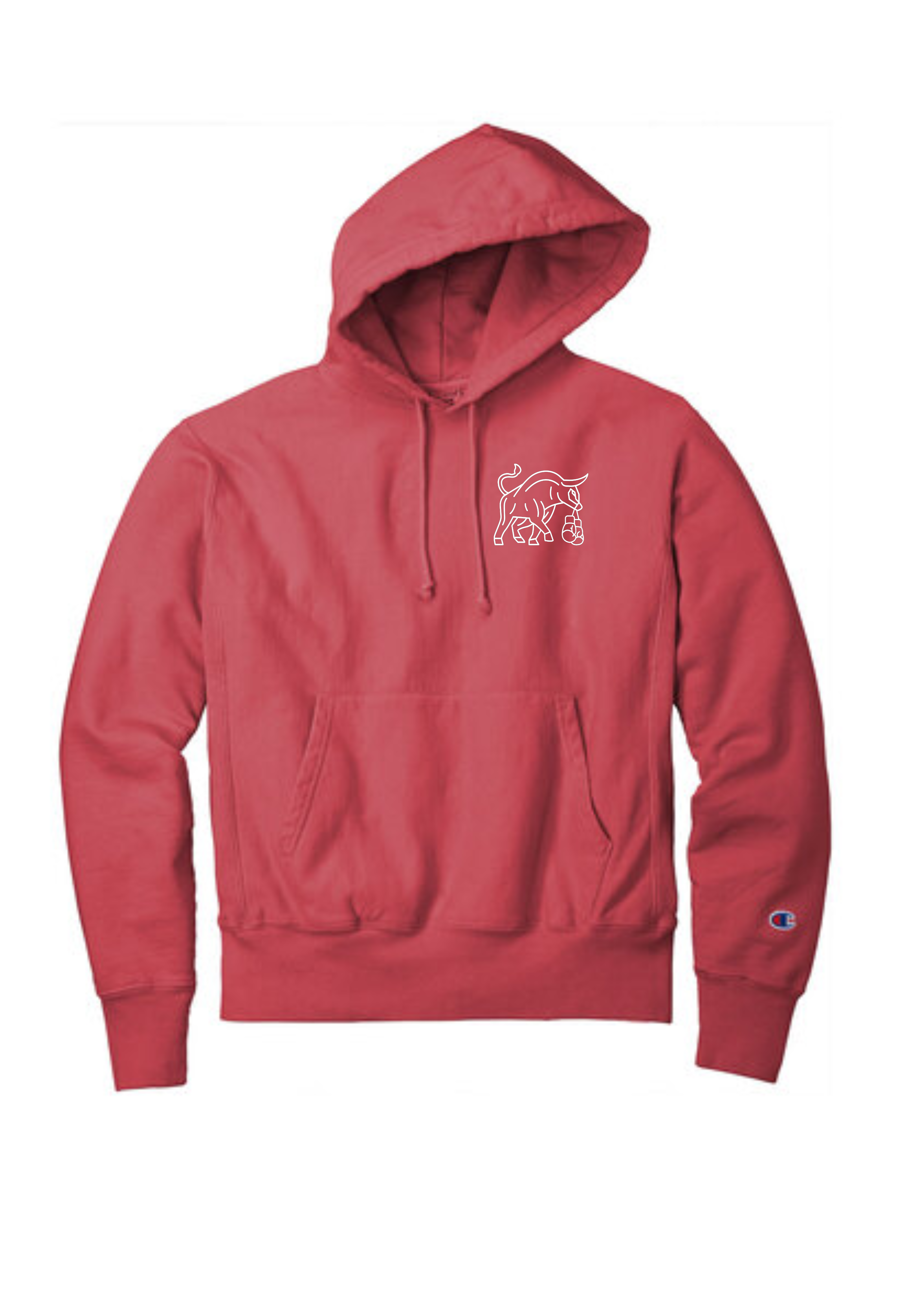 Reverse Weave Hoodie